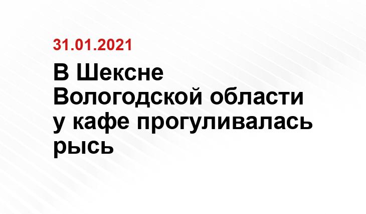 w-dog.ru