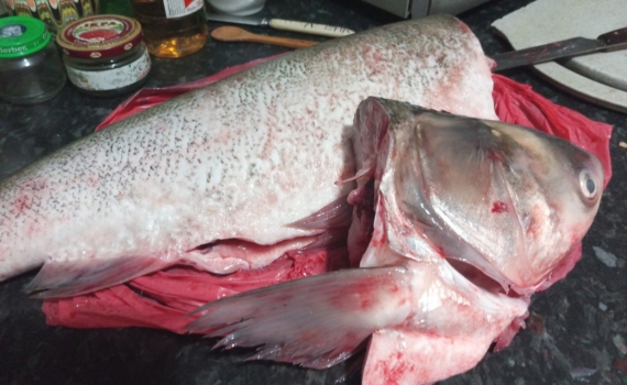 Секрет настоящей супер-рыбы: где искать рекордное количество омега-3 — полезные кислоты для здоровья Секрет настоящей супер-рыбы: где искать рекордное количество омега-3 — полезные кислоты для здоровья