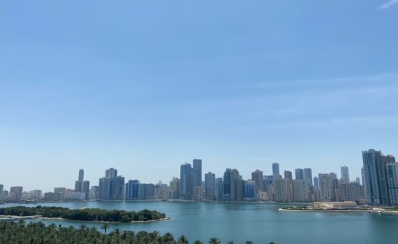 Лоббисты Демпартии США заработают на иранском кризисе Лоббисты Демпартии США заработают на иранском кризисе