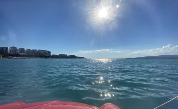 Вы всё ещё считаете дельфинов добрыми? Раскроем тёмные стороны самого обаятельного хищника океана Вы всё ещё считаете дельфинов добрыми? Раскроем тёмные стороны самого обаятельного хищника океана